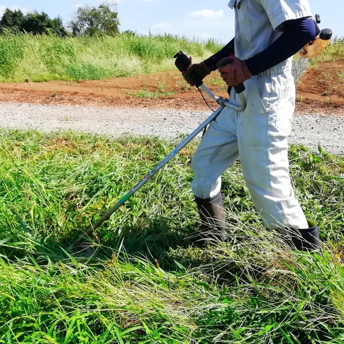 草刈り 弥富市 | 弥富市で草刈りならお庭の窓口弥富市