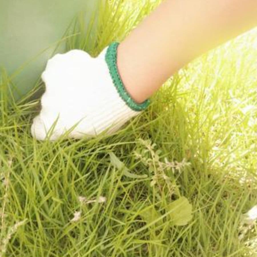 草取り 弥富市 | 弥富市で草取りならお庭の窓口弥富市