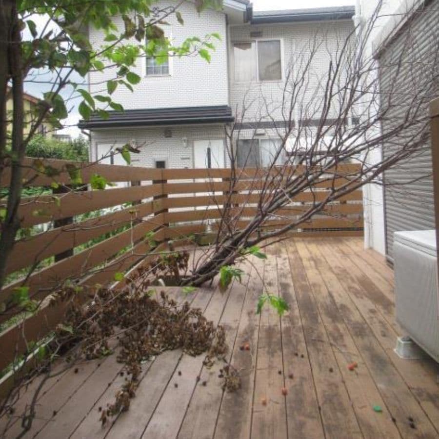 倒木撤去 弥富市 | 弥富市で庭木の倒木撤去ならお庭の窓口弥富市