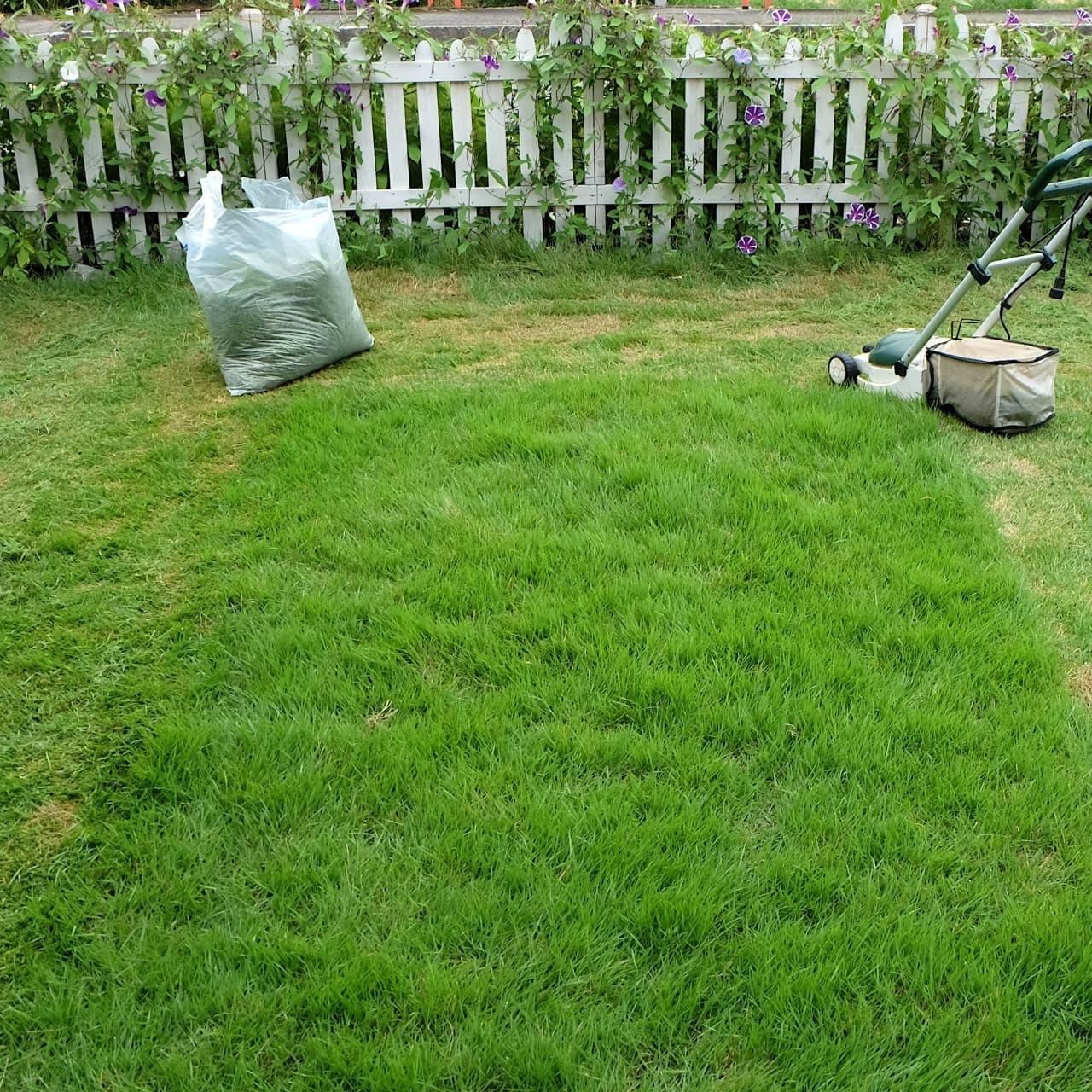 芝生の手入れ 弥富市 | 弥富市で芝生の手入れならお庭の窓口弥富市