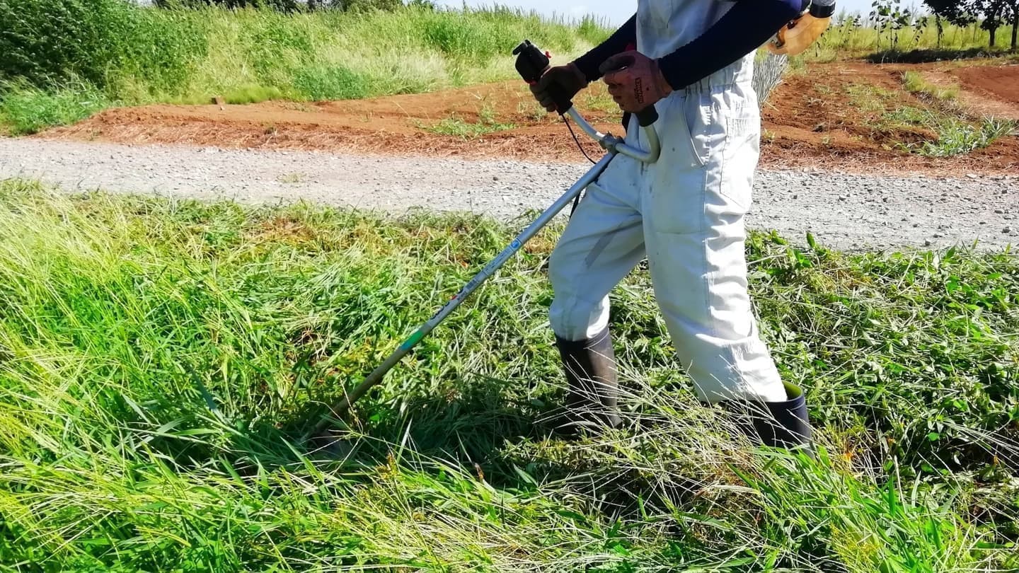 草刈り 弥富市 | 弥富市で草刈りならお庭の窓口弥富市