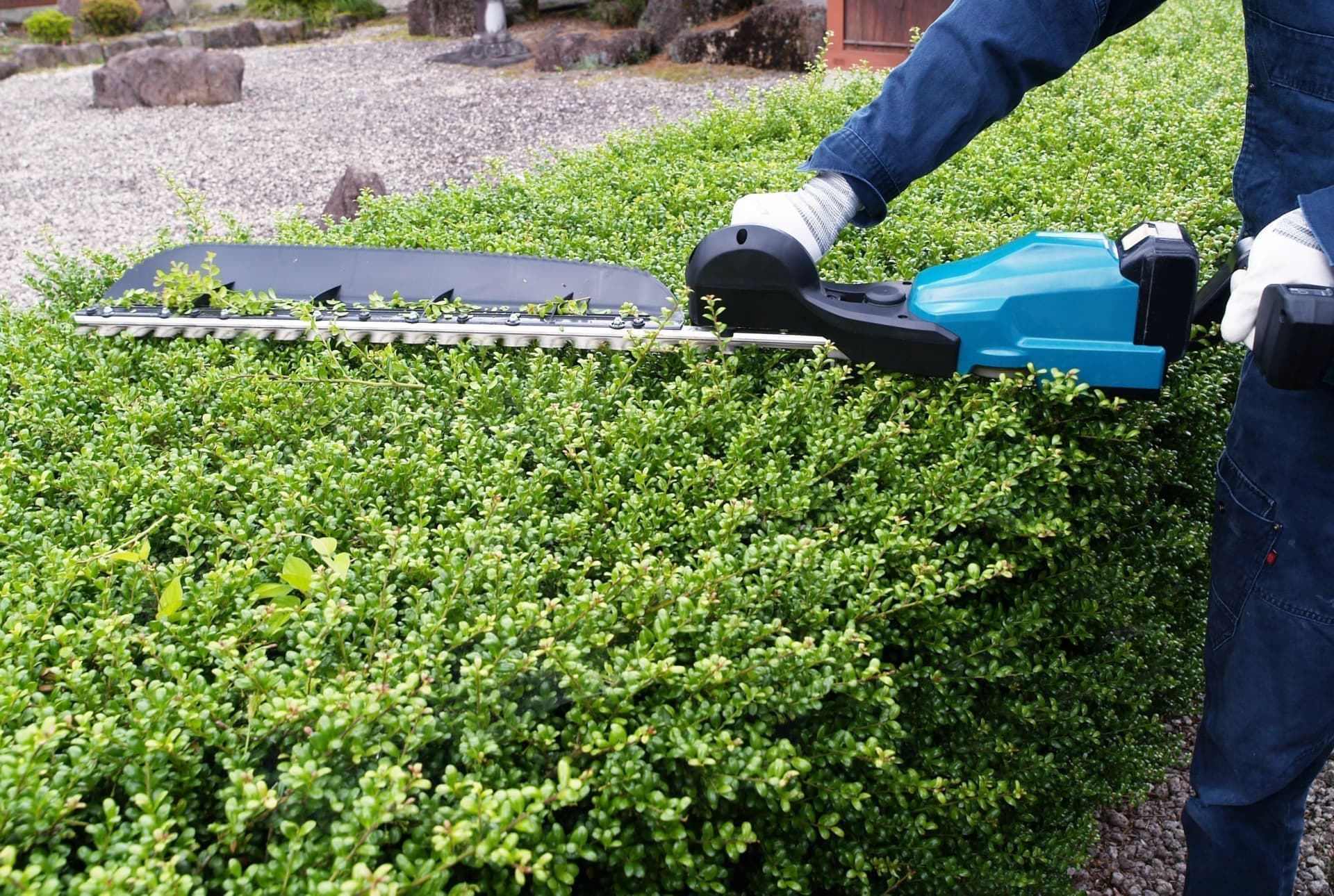 庭木剪定 東海市 | 東海市で庭木剪定ならお庭の窓口東海市