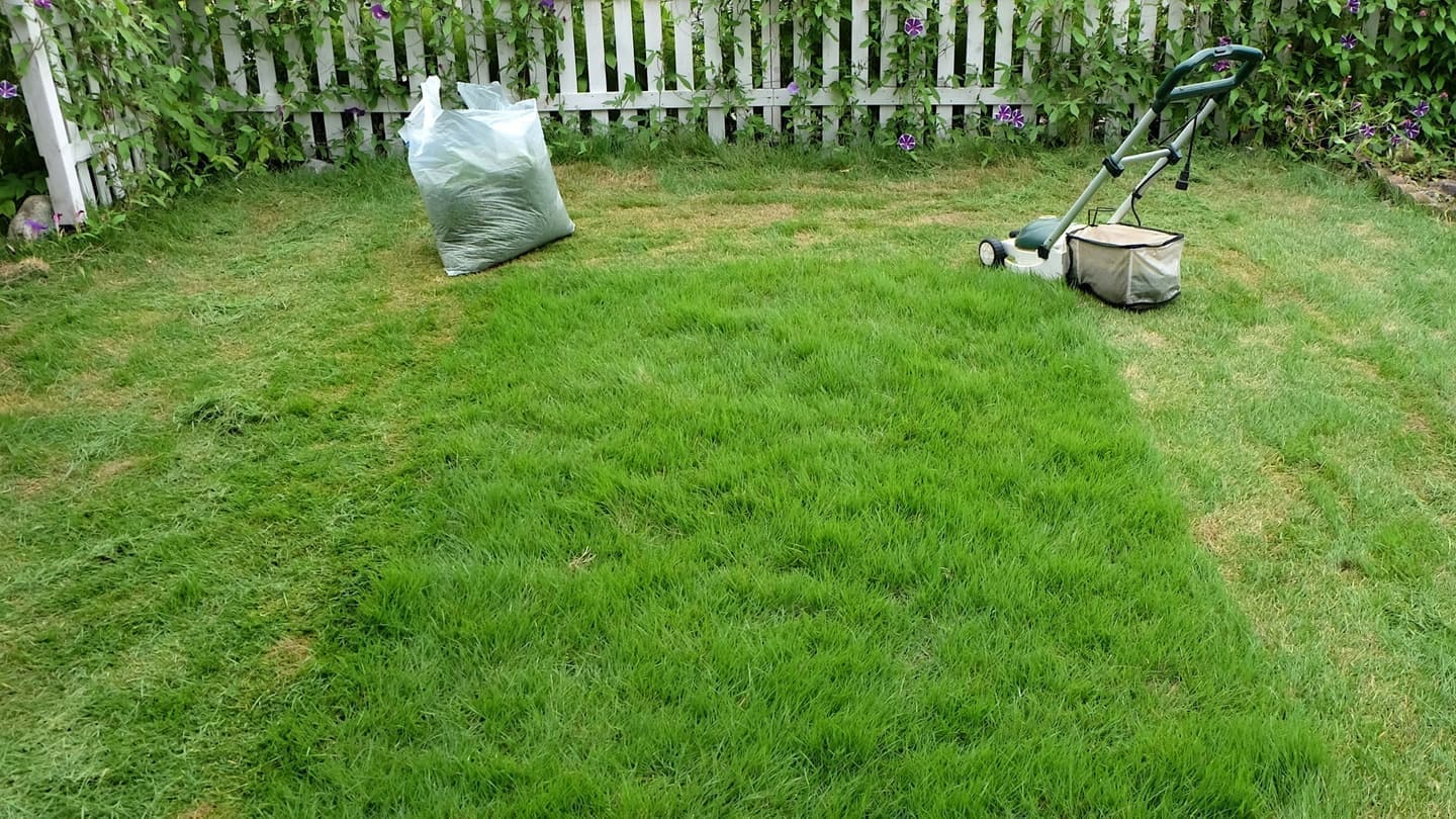 芝生の手入れ 弥富市 | 弥富市で芝生の手入れならお庭の窓口弥富市