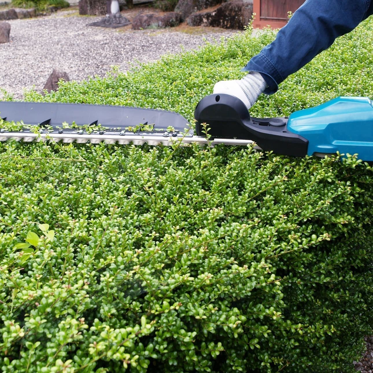 植込み剪定 弥富市 | 弥富市で庭木の植込み剪定ならお庭の窓口弥富市
