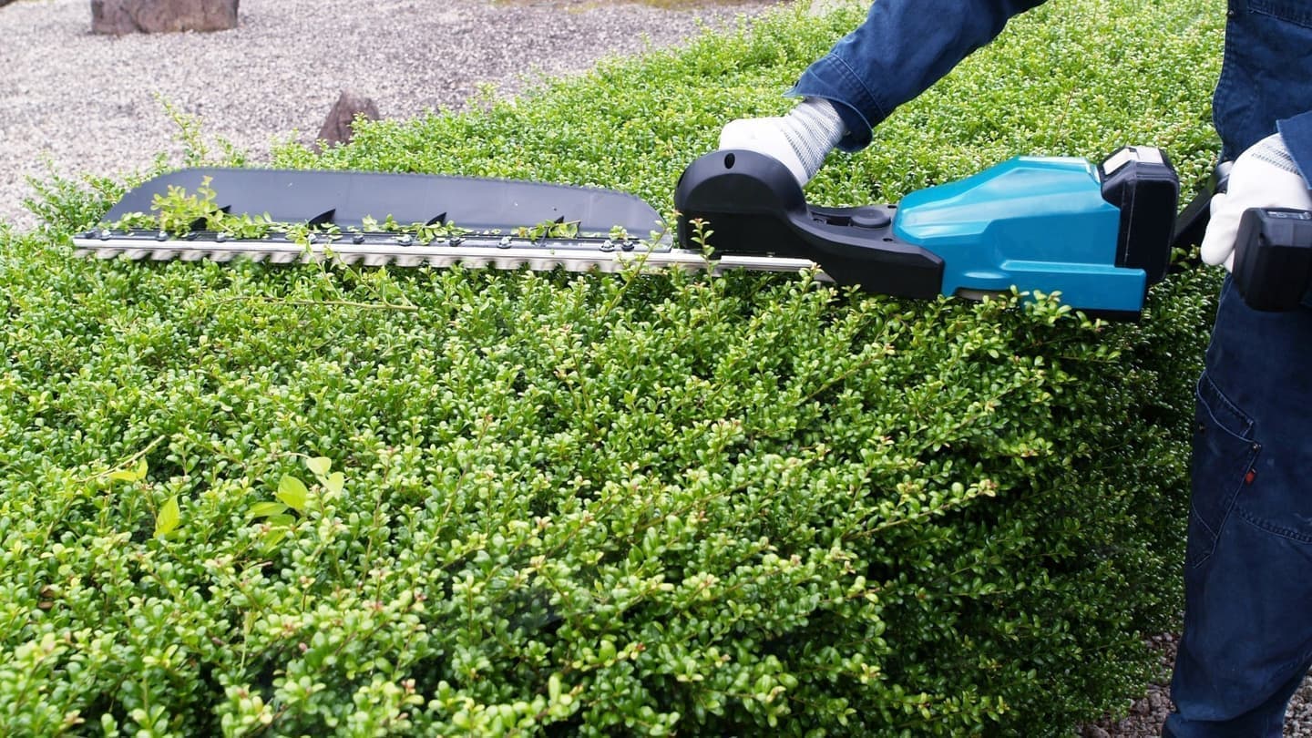 植込み剪定 弥富市 | 弥富市で植込み剪定ならお庭の窓口弥富市