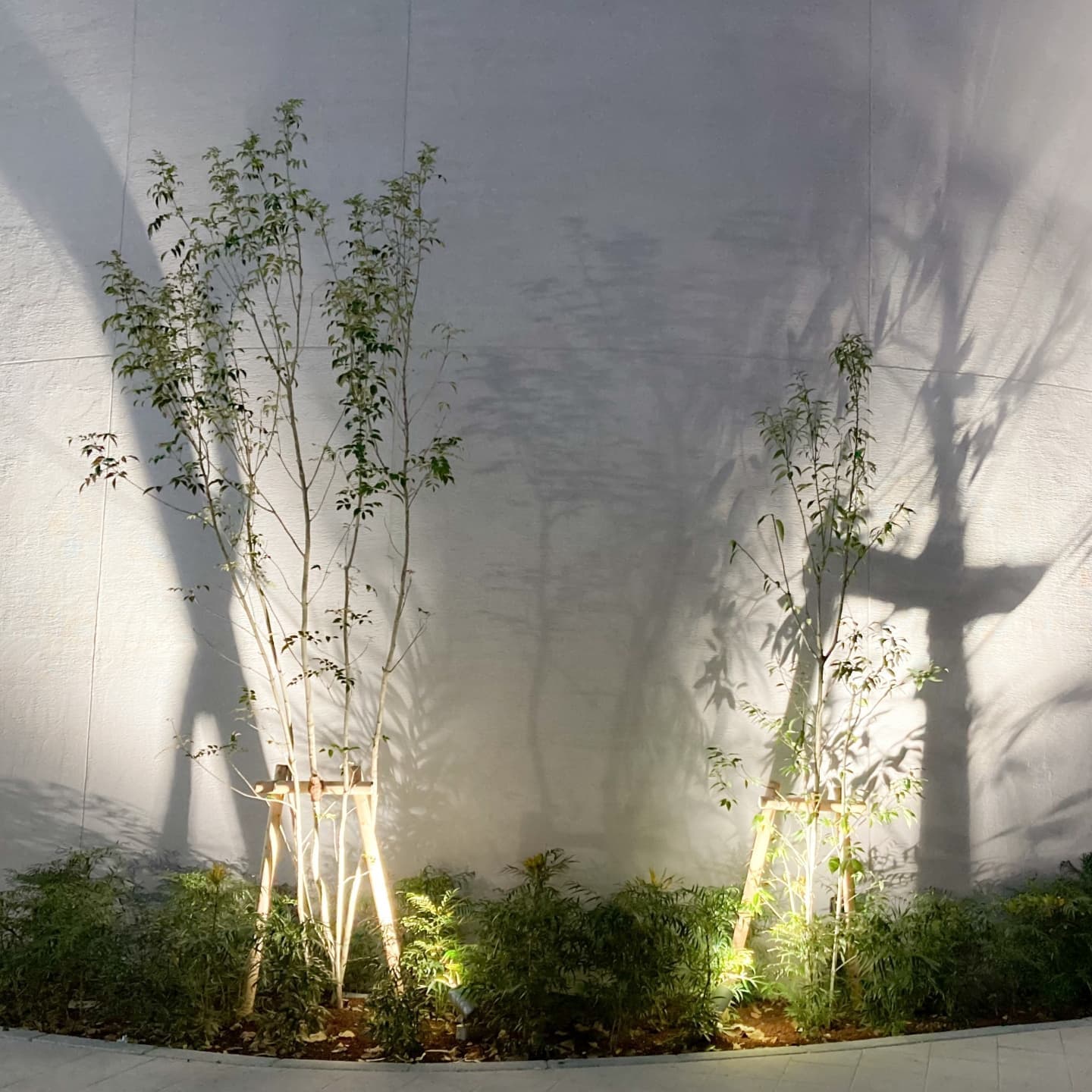 庭木の植栽 弥富市 | 弥富市で庭木の植栽ならお庭の窓口弥富市