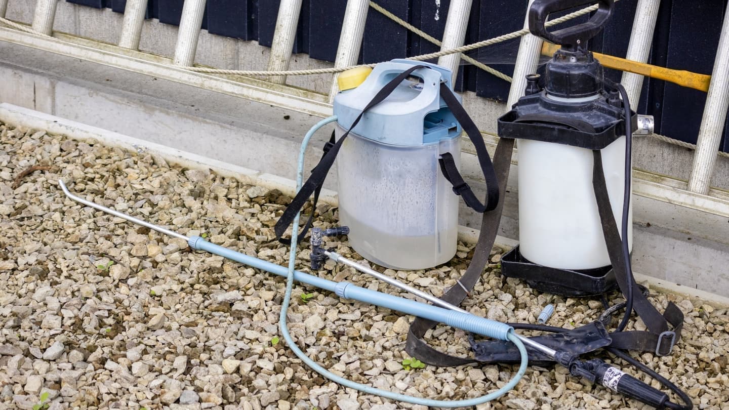 庭木の消毒・害虫対策 弥富市 | 弥富市で庭木の消毒・害虫対策ならお庭の窓口弥富市