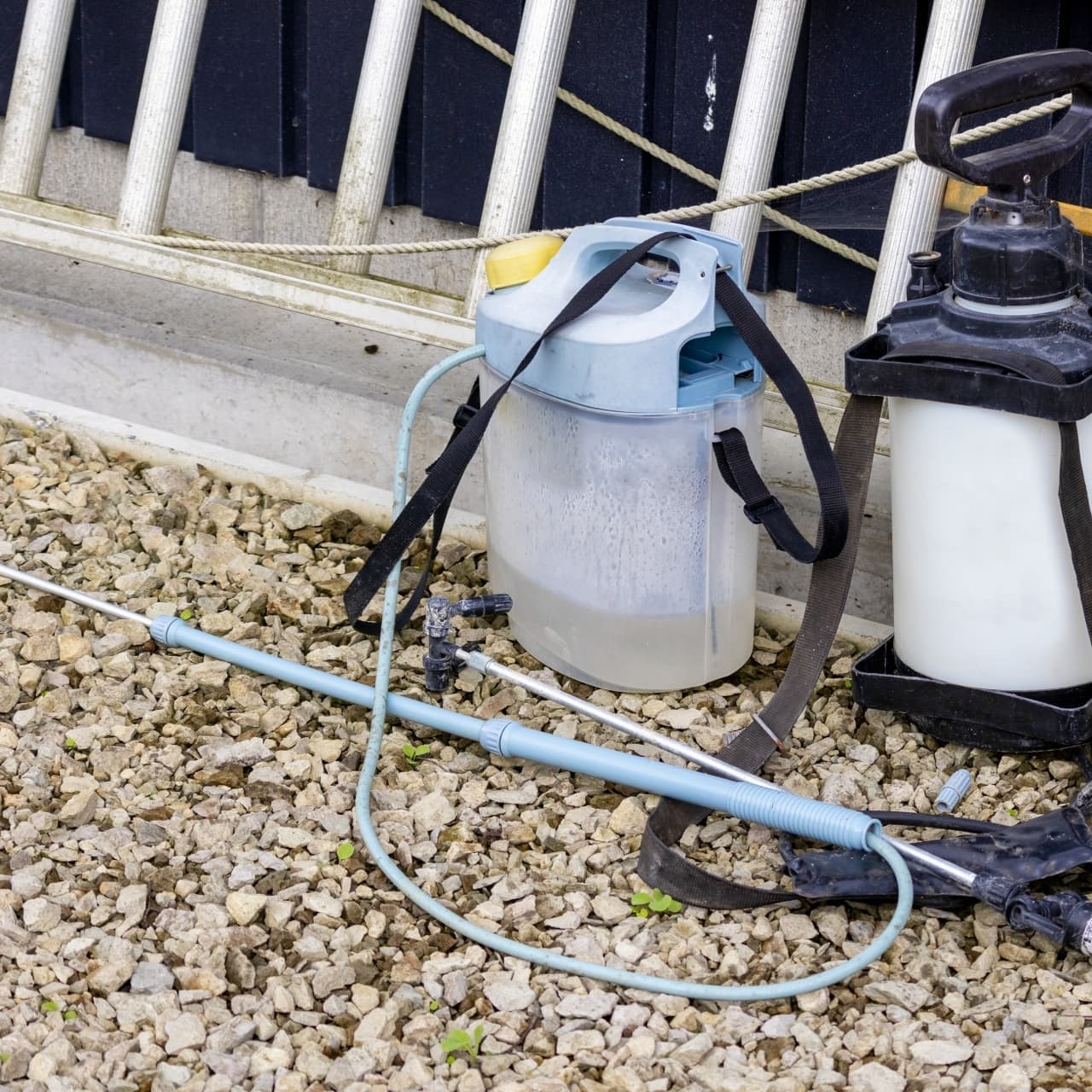 庭木の消毒・害虫対策 弥富市 | 弥富市で庭木の消毒・害虫対策ならお庭の窓口弥富市